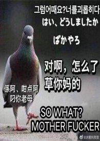 合家欢下半部小元