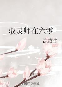 驭灵师在六零 凉故生免费阅读