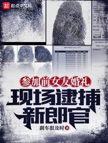 刑警日志精校版