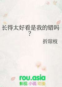 长得太好看是我的错吗? 折琼枝