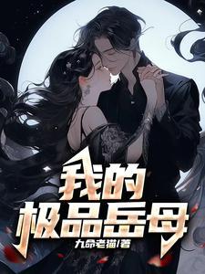 极品女婿岳康版