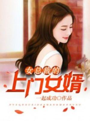 女总裁的上门女婿1734章