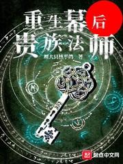 重生幕后贵族法师精校版