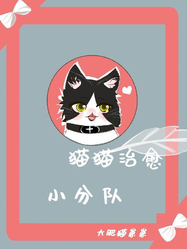 猫猫治愈视频