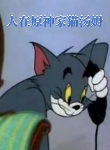 原神 汤姆猫