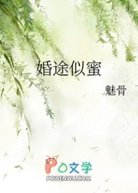 婚途似蜜全文免费阅读