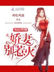 宠妻无度boss娇妻需宠