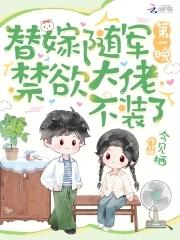 替嫁将军by不许东