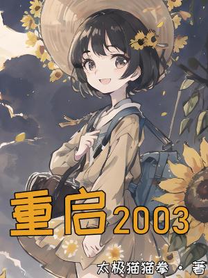 逆袭人生之重启2003