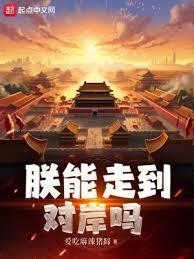 朕能走到对岸吗无错版