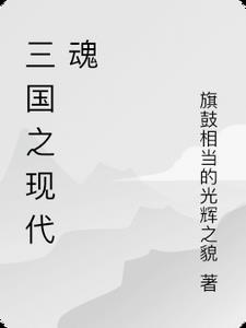 三国之英魂系统