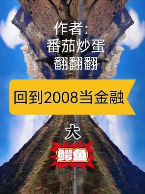 回到2008年怎么赚钱