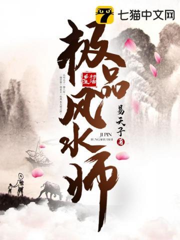 极品风水师 李成风