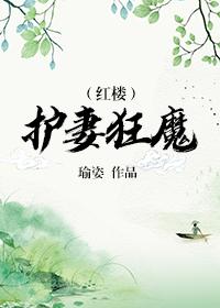 红楼护妻狂魔 沈鼎