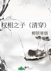 权相之子清穿完结版