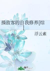 揍敌客的自我修养[综]