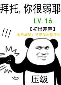 所谓的压级大佬[无限]